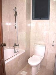 Carissa Park Condominium (D17), Condominium #534730621